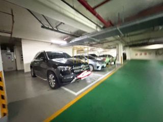 縮圖 12