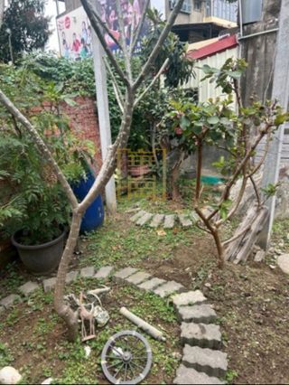 縮圖 7