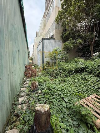縮圖 10